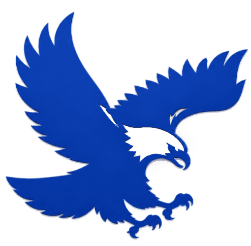 Falcon FinTax official logo
